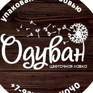 Одуван чита