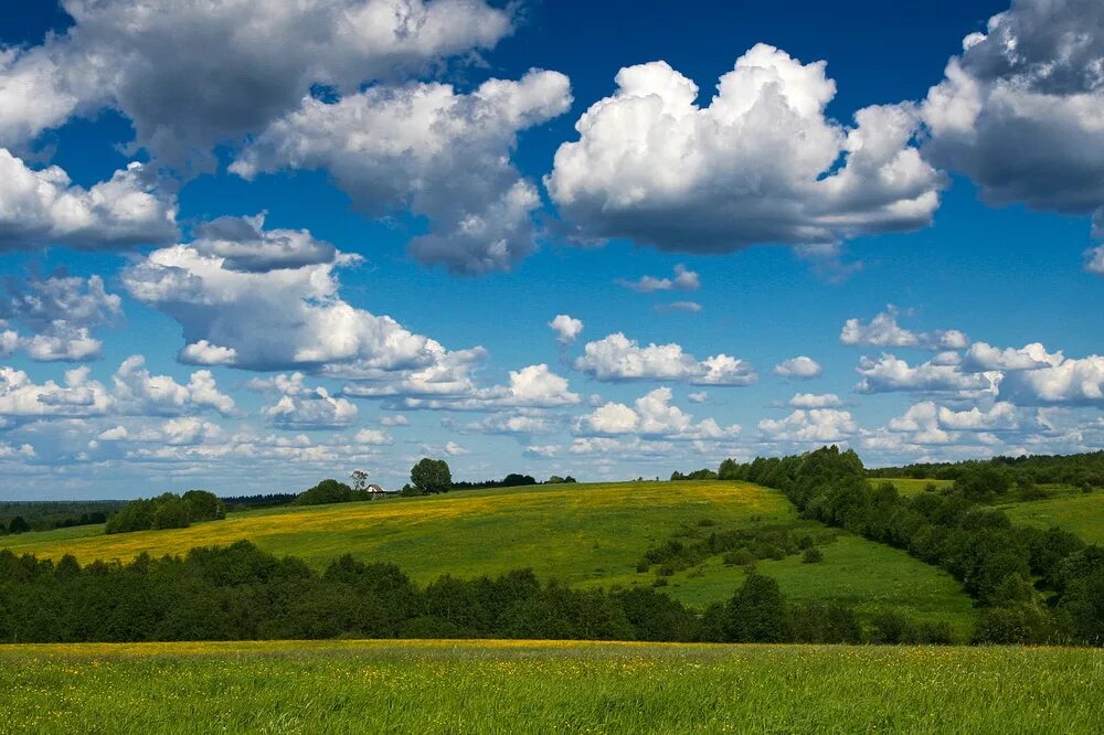 валдайская карта валдайская возвышенность. валдайская равнина высота. валдайская возвышенность. моренные холмы валдайской возвышенности. равнина валдай.
