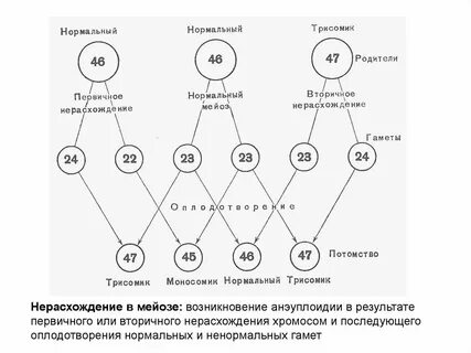 Нормальных родителей