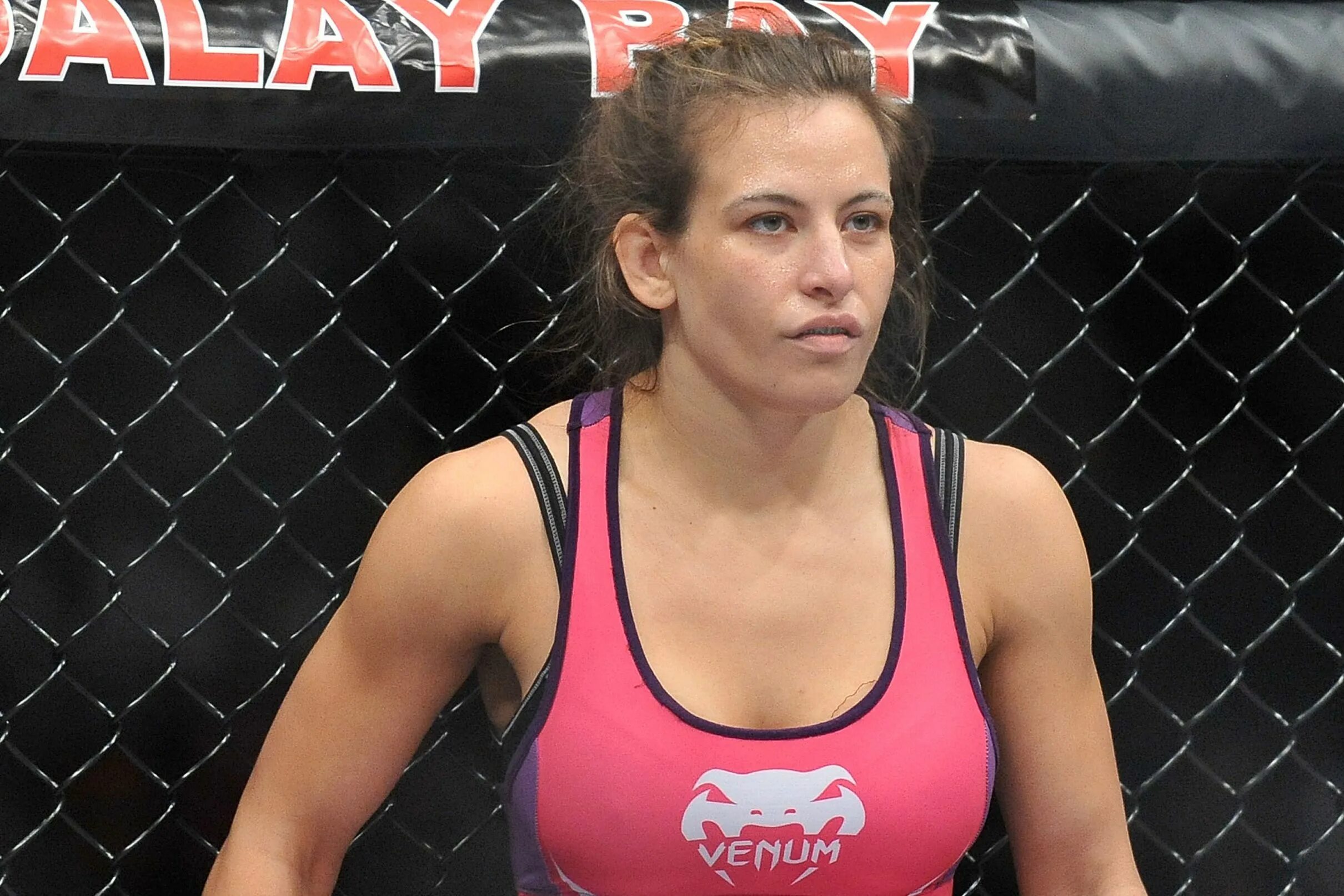 Миша Тейт. Тейт юфс. Miesha Tate UFC. Миша Тейт фото. Наибольшее количество женщин бойцов