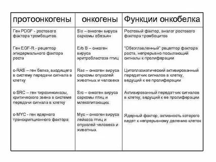 Протоонкогены
