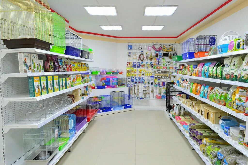 Лежак для собак zooexpress пухлик меб. Зооэкспресс санкт петербург товары для животных. Лежанка зооэксперт зооэкспресс лежанка 710023. Зооэкспресс 700032 лежанка птицы № 3,горчично-желтый. Лежак для собак zooexpress фигурная №2 64х49х32 см.