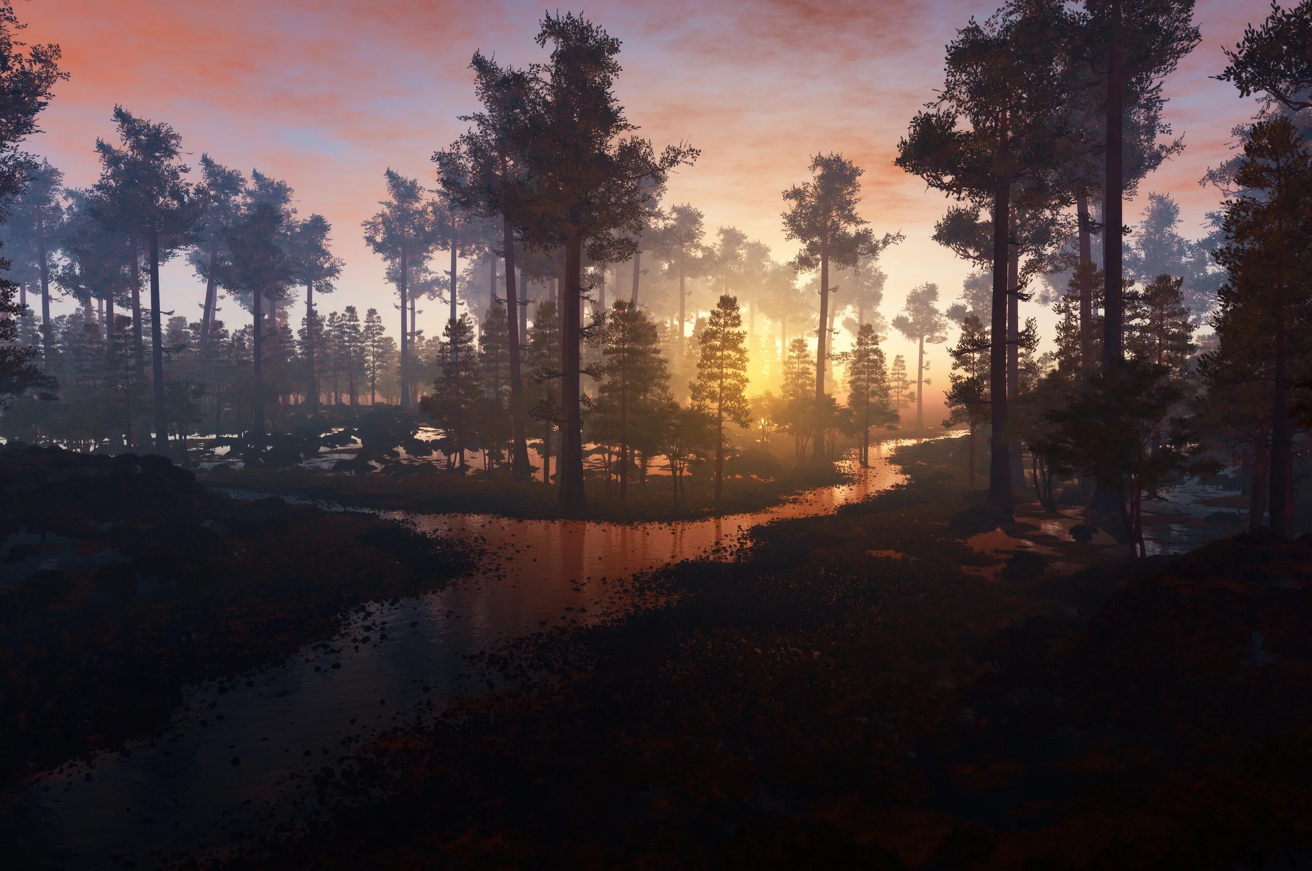 Source forest. Source forest