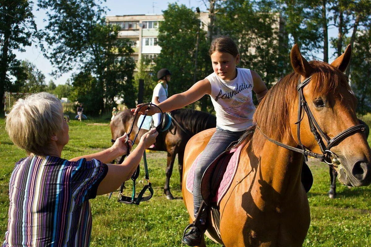 Конная школа. Выступление конный спорт. Показательное выступление на лошади. Выступления конный клуб.