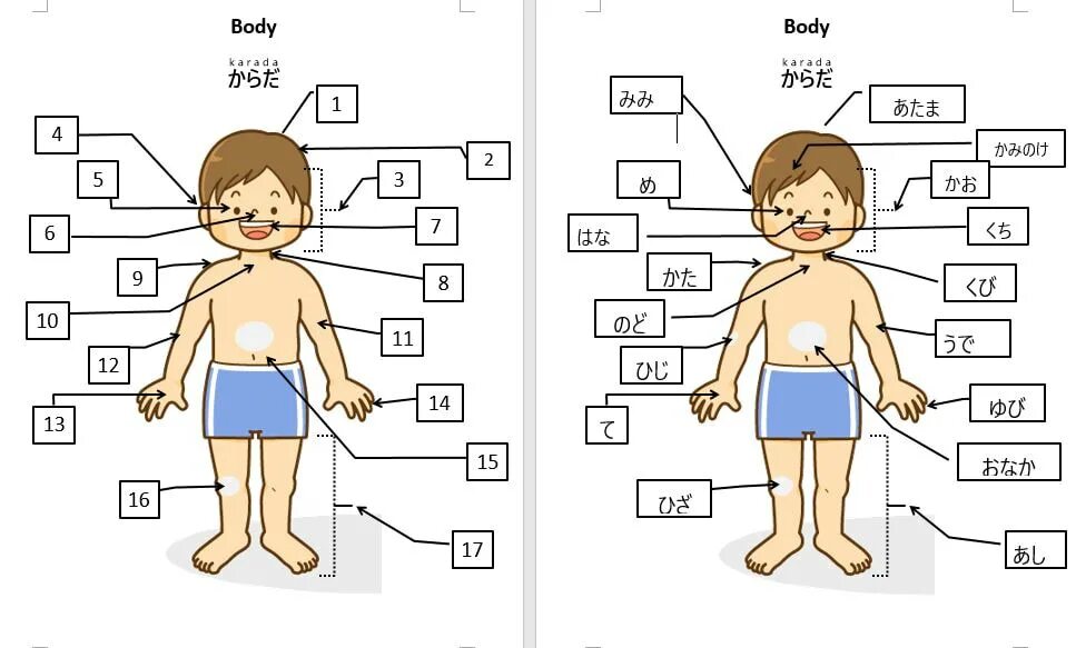 Ca part of body. Body parts for kids. parts of the body flashcards for kids. body parts vocabulary for kids. parts of the body картинки для детей.