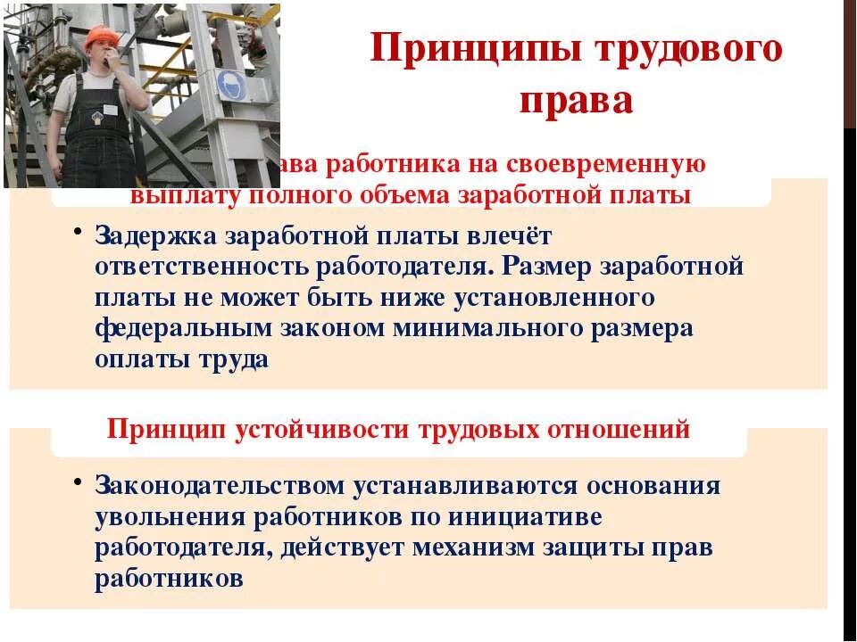 Трудовое право кратко 9 класс. Принципы трудового законодательства.