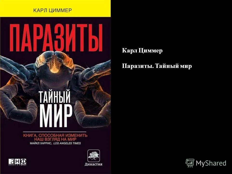 Книга тайный мир. Паразиты книга Циммер.