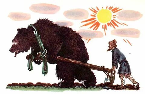 Медведь половинщик