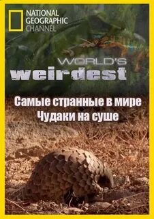 World's weirdest