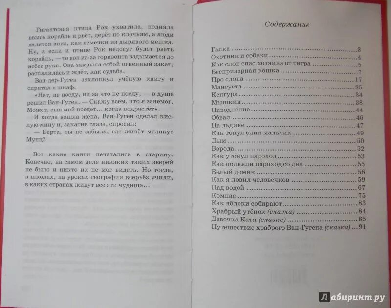 Житков что я видел содержание. Беспризорная кошка сколько страниц в рассказе. сколько страниц в рассказе беспризорная кошка житков.