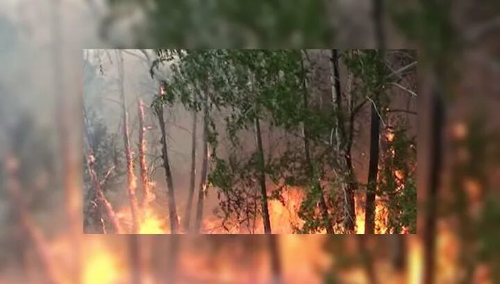 Маянтуяку (кипящая река). Низовой пожар хакасия. Низовой устойчивый пожар. Беглые низовые пожары. Стоявшая над лесами жара разогревала.
