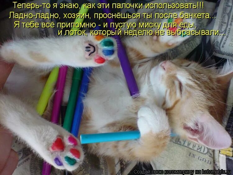 хозяин и мурзик. просыпайся мой хозяин я спешу тебе. смешные картинки с котами. приколы про кошек. весёлый будильник просыпайся мой хозяин.