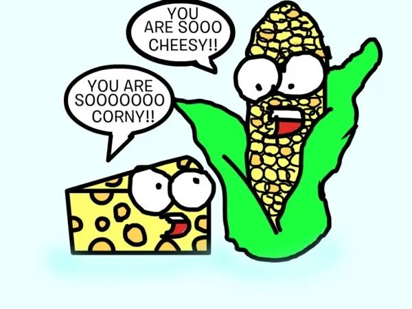 What cheese are you