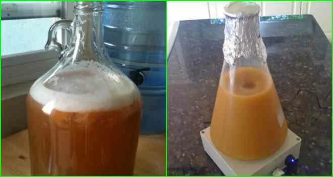 Ускоритель брожения браги. Брага из дрожжей. Ферментация крахмала. Ускоренное брожение. Ускоренное брожение.