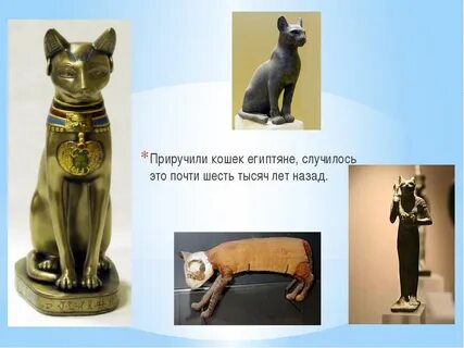 Изложение кошка была приручена в древнем египте