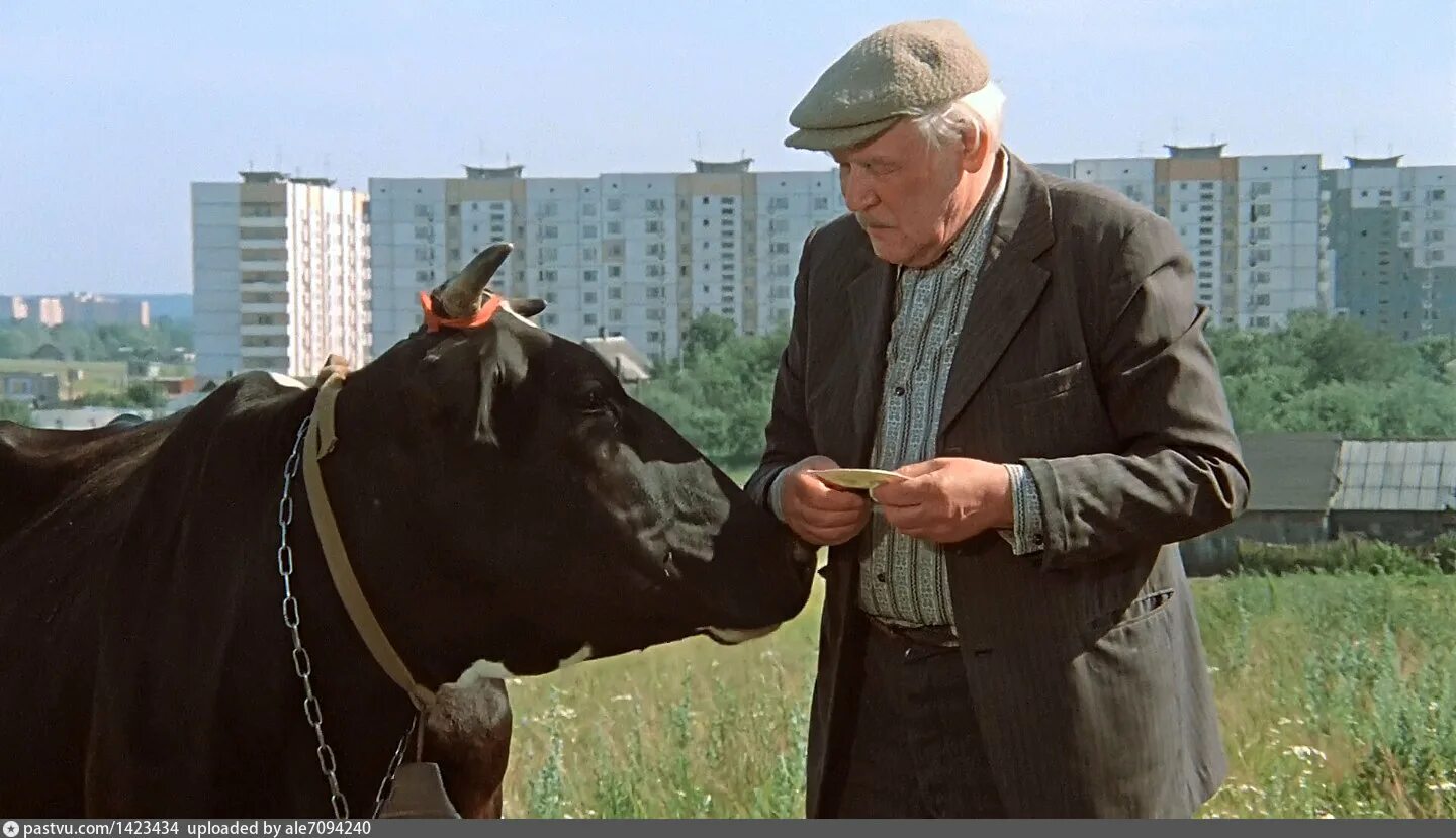 4 белые росы. Белые росы 1983. федор ходас белые росы. белые росы поставьте фильм. белые росы фильм 1983 колодец.