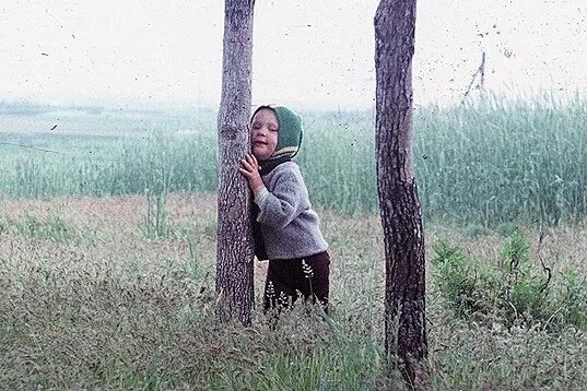 Ищу некоторое. Ищу некоторое
