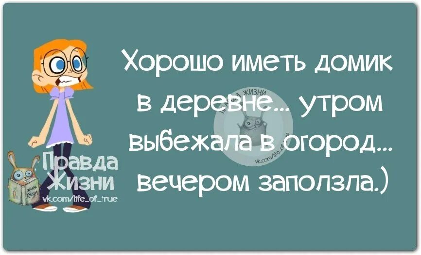 Высказывание правда жизни. Правда жизни. Смешные цитаты с картинками правда жизни. Правда жизни юмор в картинках. Правда жизни приколы.