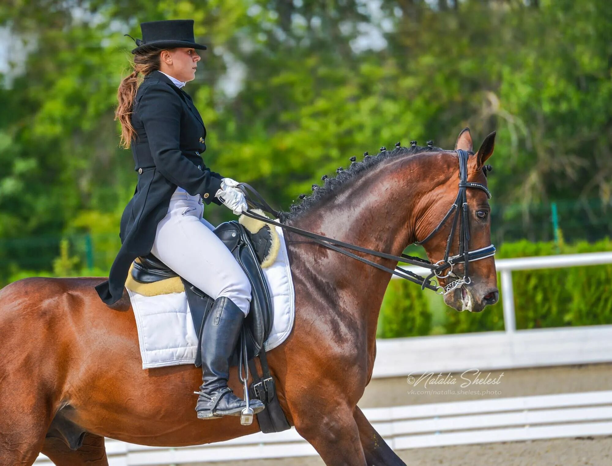 Голден хорс таганрог ресторан. Хорс таганрог. Голден хорс таганрог. Хорс таганрог. Хорс таганрог.