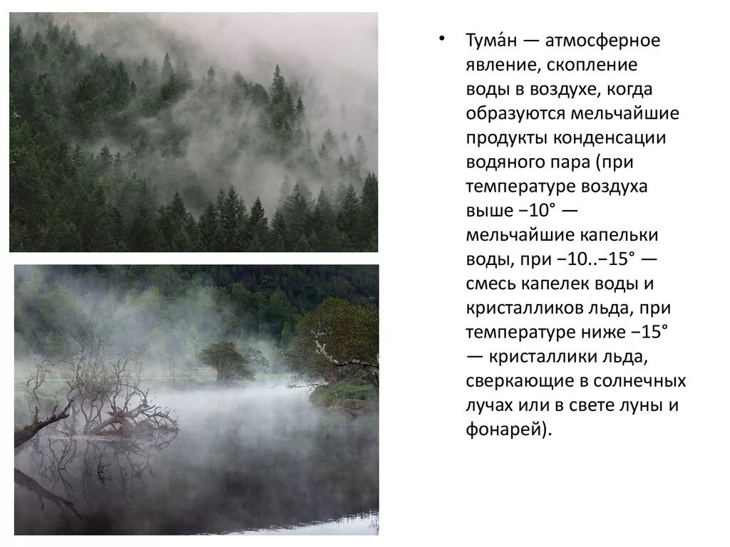 Туман атмосферное явление. Причины возникновения тумана. Туман явление природы. Причины образования тумана. В тумане есть вода