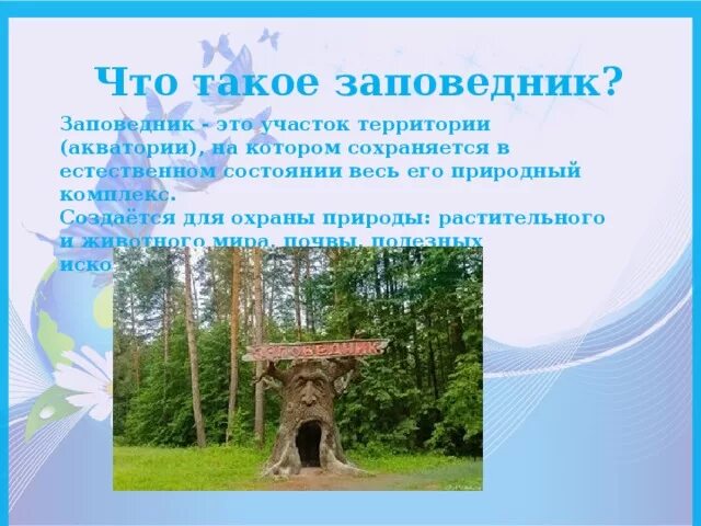 Заповедник такой то. Заповедник. что такое заповедник для дошкольников. заповедники презентация. заповедник это участок территории на котором.