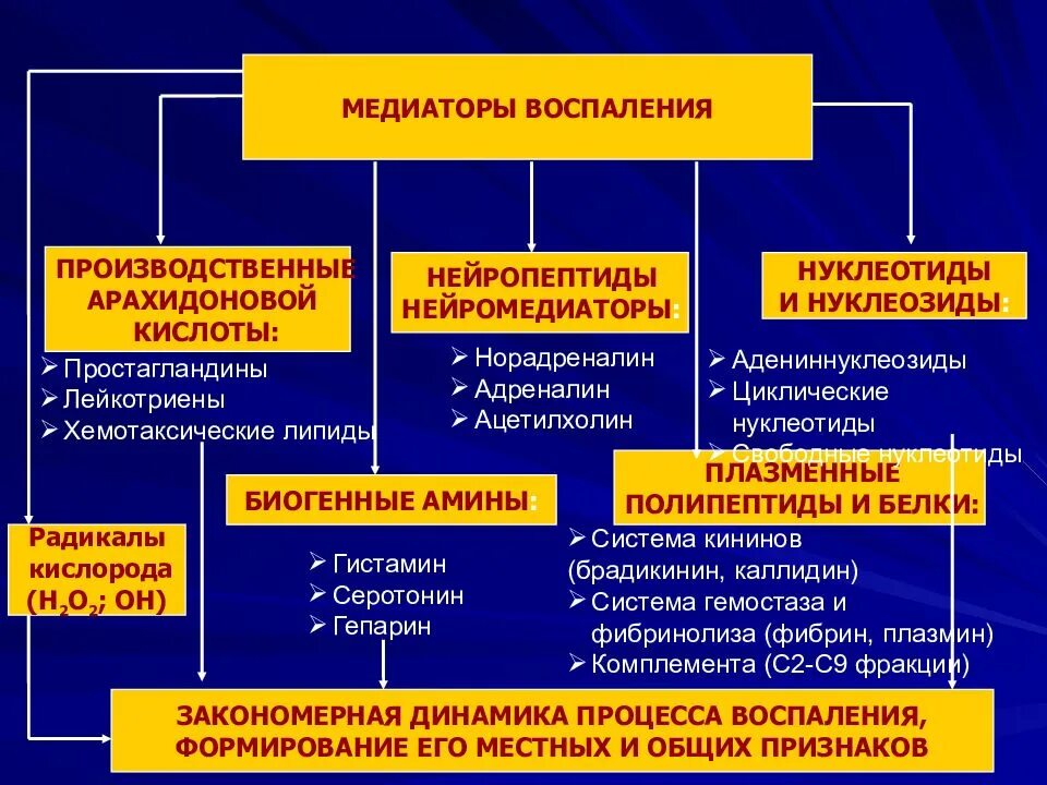 К медиаторам воспаления относятся. Классификация медиаторов воспаления. Механизм действия медиаторов воспаления схема. Классификация медиаторов воспаления патофизиология. Клеточные медиаторы воспаления таблица.