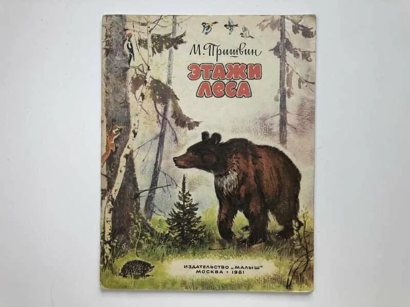 Книга м пришвина этажи леса. Рассказ м пришвина этажи леса. Книга пришвин этажи леса. Рассказ м пришвин этажи леса. Этажи леса пришвин иллюстрации.