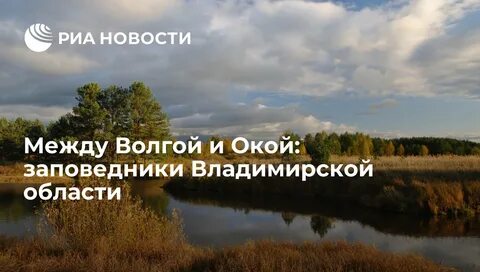 Между волгой
