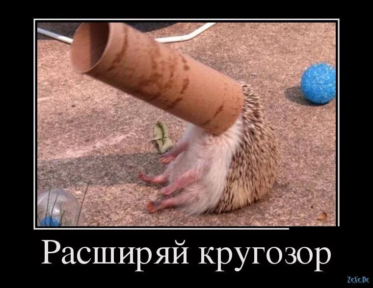 Что значит расширить кругозор. Символ расширенного кругозора. Кругозор. Жил был широкий кругозор. Кругозор и точка зрения.