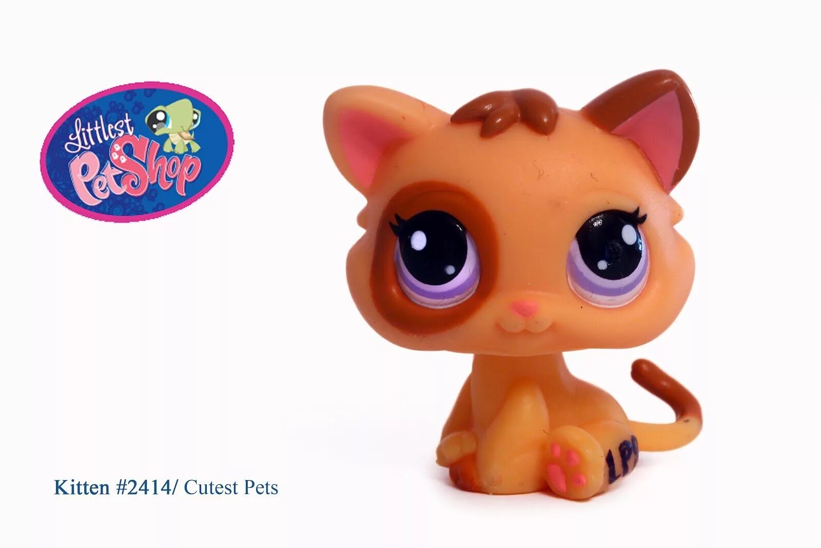 Лпс котенок #2033. LPS 2414. Littlest Pet shop 2401. Котята Littlest Pet shop номера.