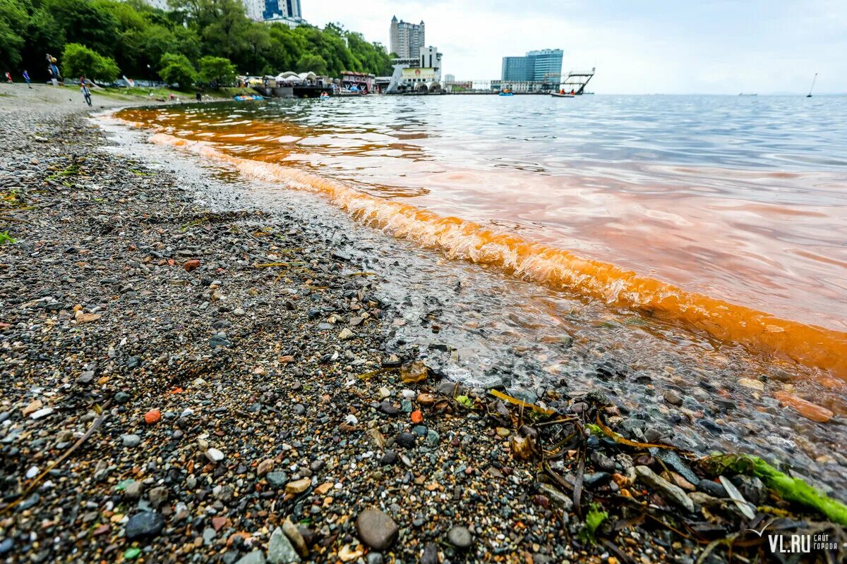 Заказ воды владивосток. Владивосток с воды.