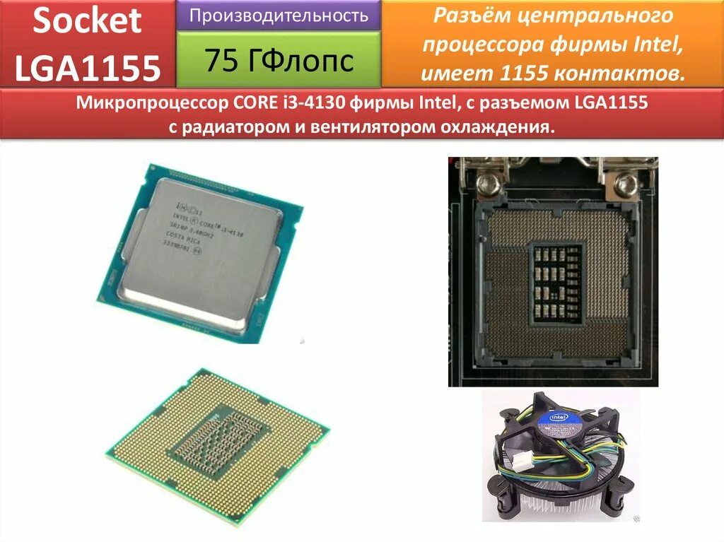 Socket 1155 процессоры. Сокет LGA 1155. LGA 1200 разъёмы микропроцессоров. LGA 1356 разъёмы микропроцессоров. 1155 Сокет процессоры разводка ножек.