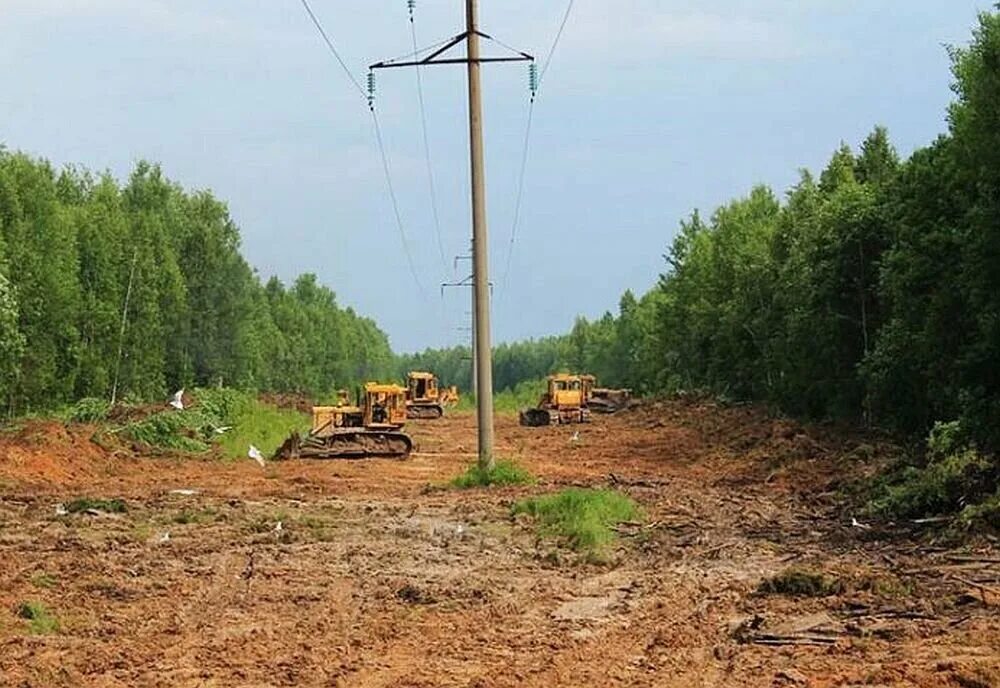 Участок 1 линия дороги. Просека для вл в лесу 10кв. Вл 110 расчистка леса. Лесная просека вл 10 кв. Трасса вл 110 кв.