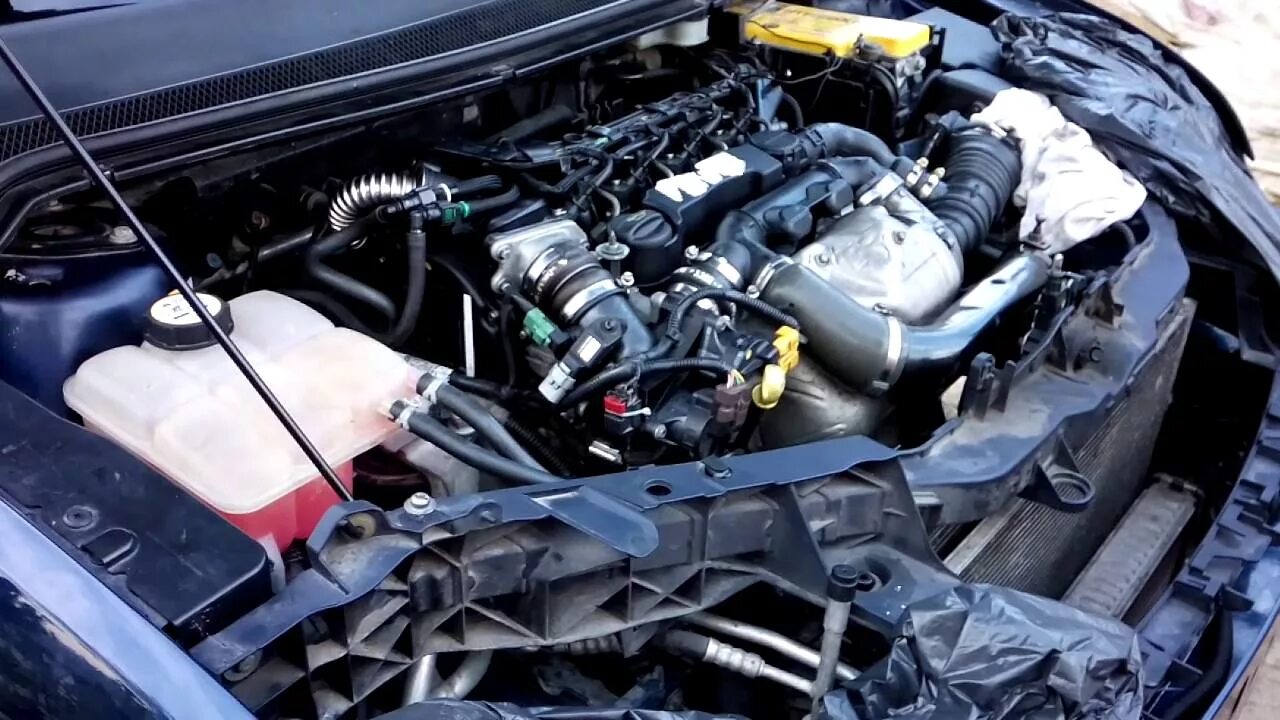 6 honda. Форд фокус 2 не ровно работает двигатель на холостых. Подкапотное фокус 1 1. Белый дым форд фокус 1. Течи двигателя форд фокус 1.