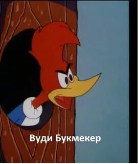 Вуди вудпекер отправляется в лагерь