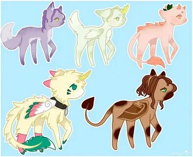 Midnight adopt