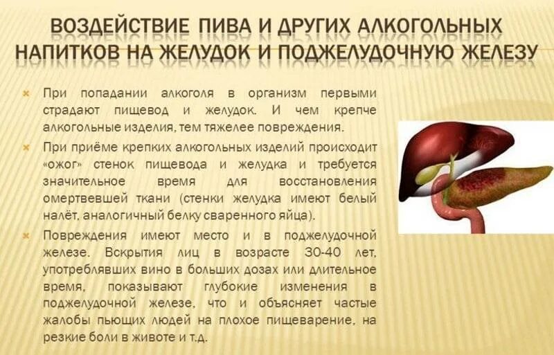 Спиртное и беременность. Полезно ли вино. Диета и алкогольные напитки. Вино при жкт. Алкогольные напитки для повышения давления.