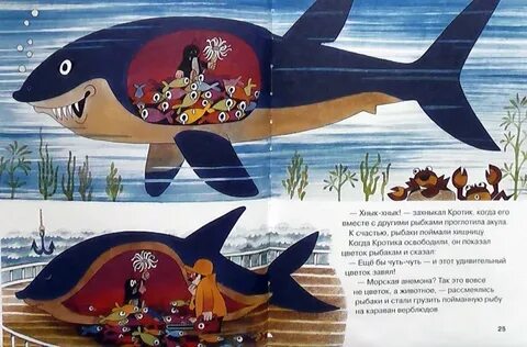 Крот акула