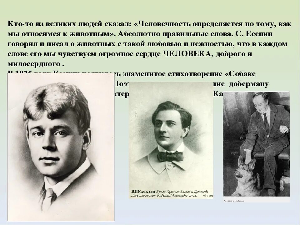 Собаке качалова. Стихотворение сергея есенина собака. Стихотворение сергея есенина собака. Песнь о собаке есенин. Собаке качалова есенин рисунок.