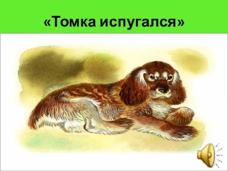 Как томка научился. Томка испугался чарушина. чарушин томка испугался. иллюстрация к рассказу томка чарушин. е. чарушин &quot;томка испугался&quot;.