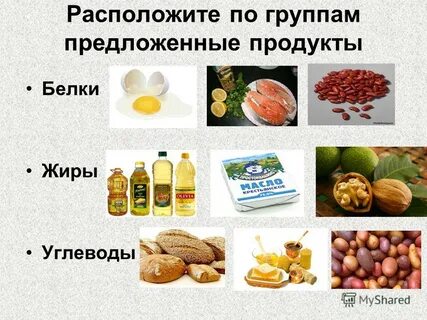 Продукты растительного происхождения белки жиры и углеводы