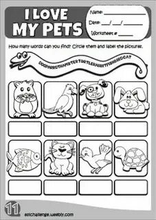 My pet english