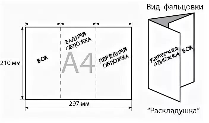 Лифлет размеры. Гармошка 2 фальца. лифлет гармошка 2 фальца. гармошка 3 фальца размер. евробуклет раскладушка размеры.