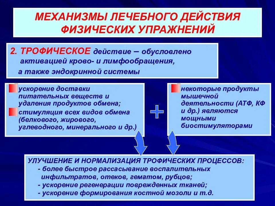 Механизм действия ЛФК. Механизмы лечебного воздействия ЛФК. Механизмы действия физических упражнений. Механизм действия лечебной физкультуры. Нормализующее действие