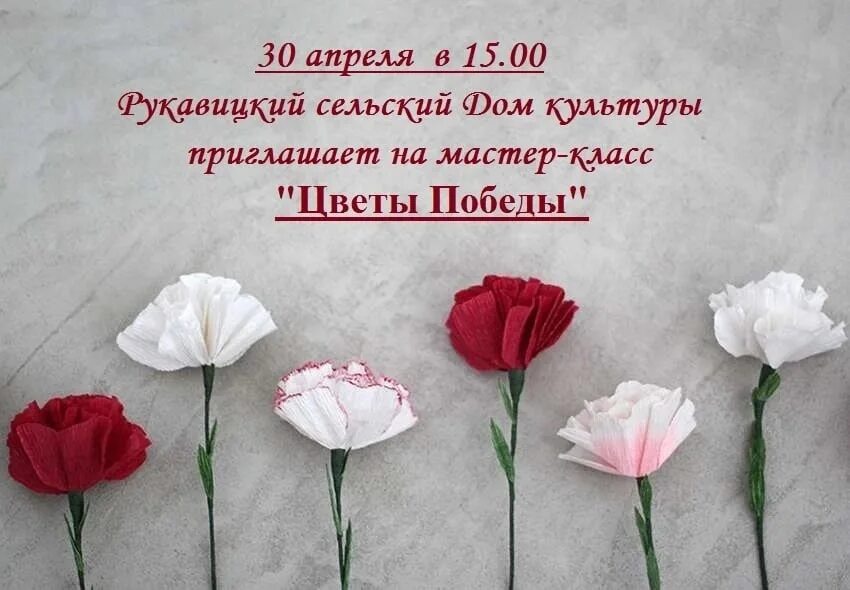 Как сделать цветок на 9 мая. Гвоздики из гофробумаги на 9 мая. цветы гвоздики из креповой бумаги. цветы гвоздики из бумаги. цветок гвоздика из гофрированной бумаги.