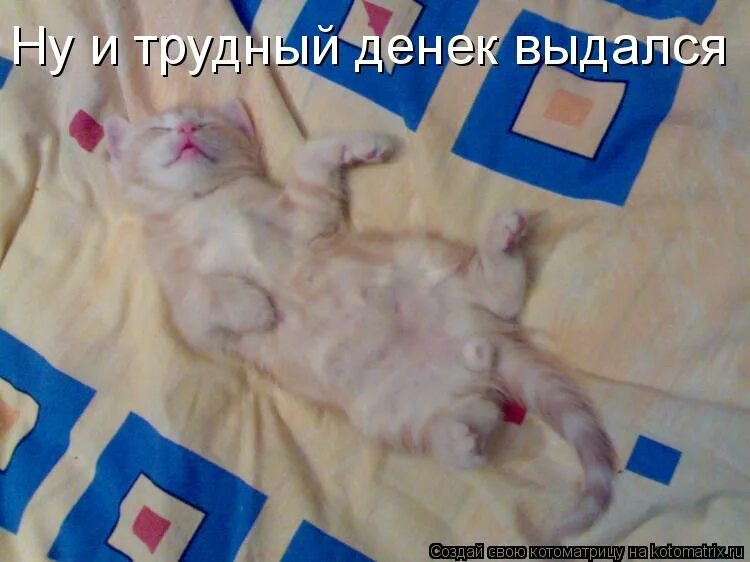 Ну и денек ване предстоит. Никита и ваня. Тяжелый денек выдался. Привет ваня. Ваня дебил.