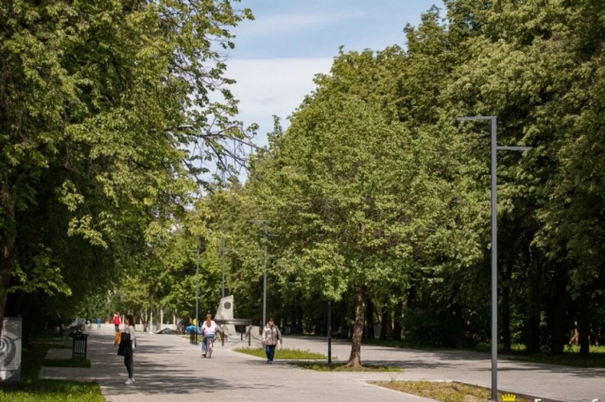 Боковая аллея. Парк города единец. Одесса парк победы мост. Парк у дворца молодежи екатеринбург. Боковая аллея 11 дом гозе.