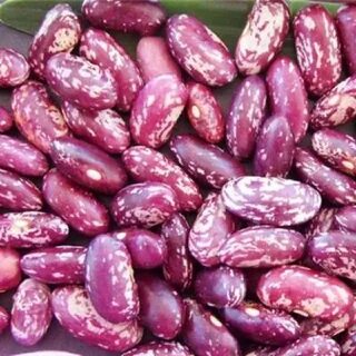 8 beans