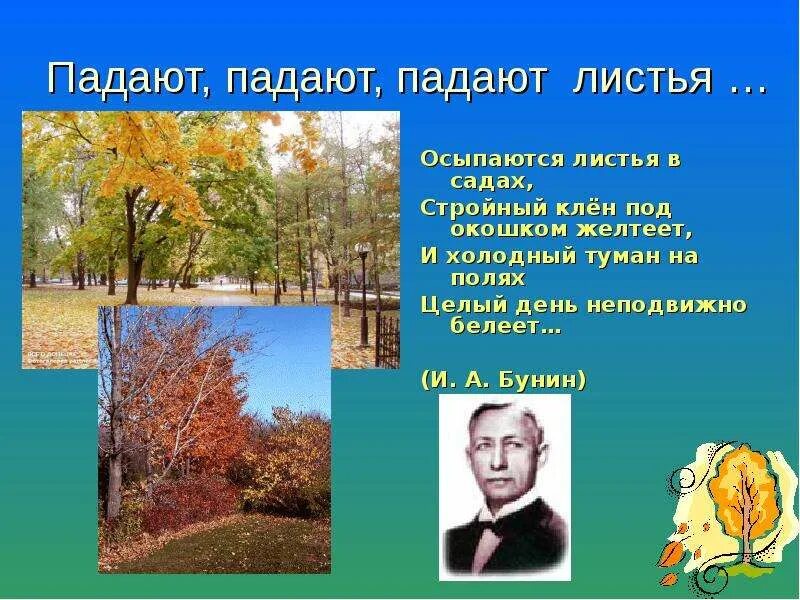 Послушайте как падают листья. Листья осыпаются. бунин осень. стройный клён желтеет под окошком. листья падают в саду.