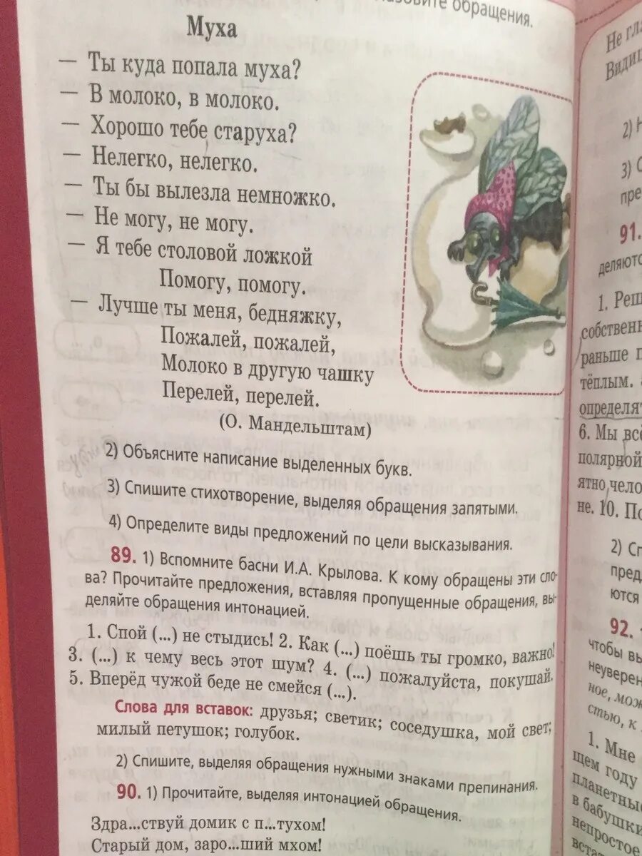 К чему муха в чае примета. Муха в молоке. ты куда попала муха. ты куда попала муха в молоко. стихотворение ты куда попала муха в молоко в молоко.